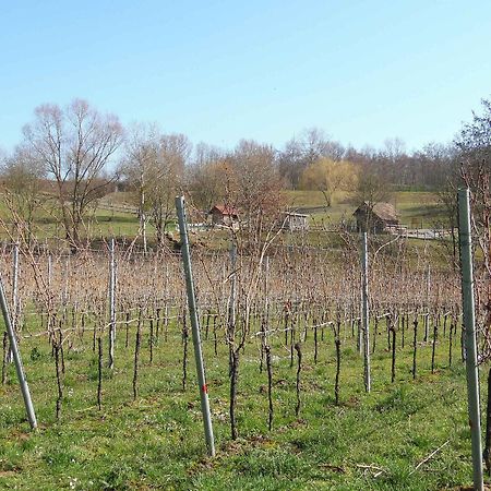 Ferienwohnungen Hog , Ringsheim Exteriér fotografie