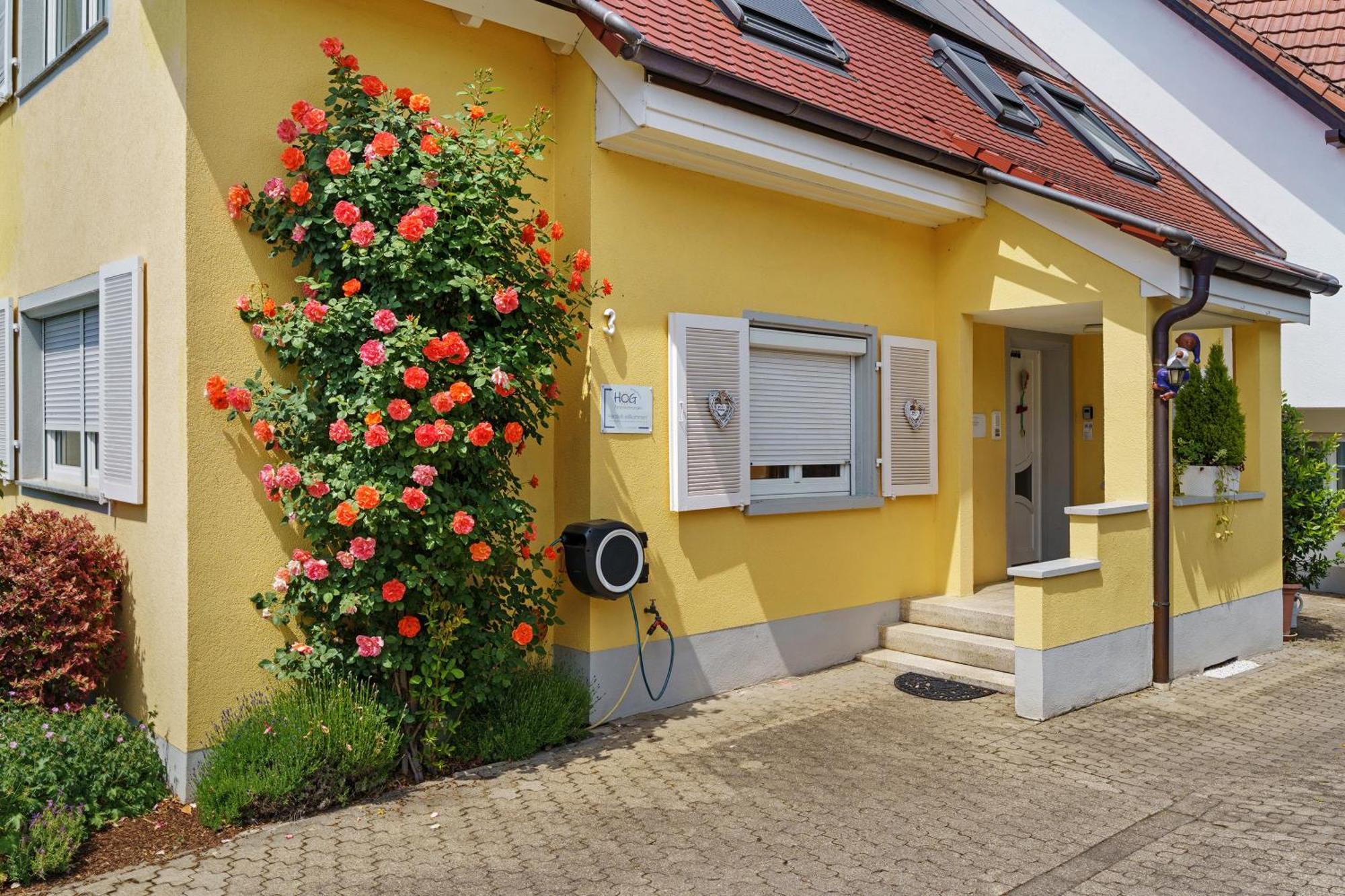 Ferienwohnungen Hog , Ringsheim Exteriér fotografie